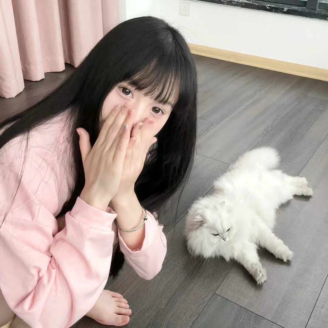 群鸟东径